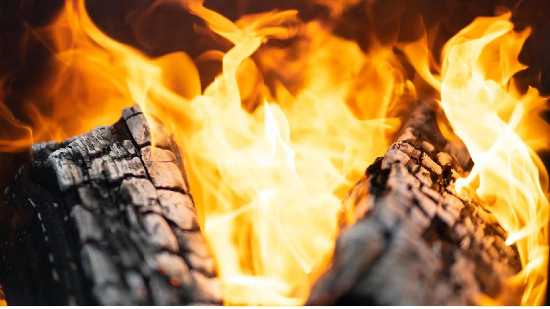 Close-up of glowing fireplace flames symbolizing North Ember’s mission to ignite growth and guide businesses through strategic consulting and digital management.